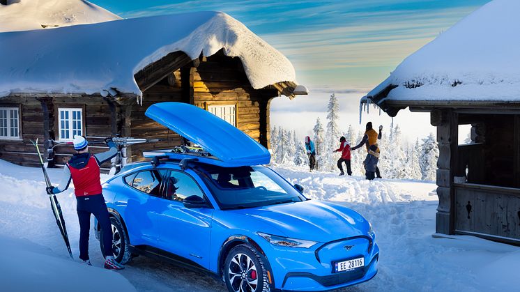 Ford Mustang Mach-E Vinter 2022