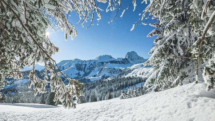 Verschneite Landschaft auf dem Gurnigel und Gantrisch im Berner Oberland © Switzerland Tourism / Jan Geerk