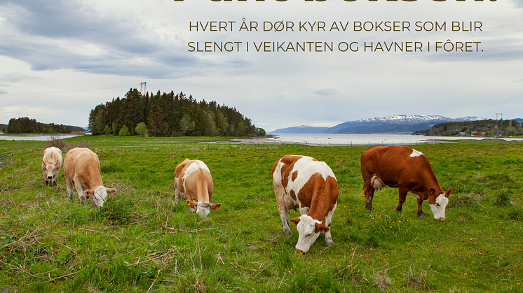 Pant boksen_facebook_bokmål