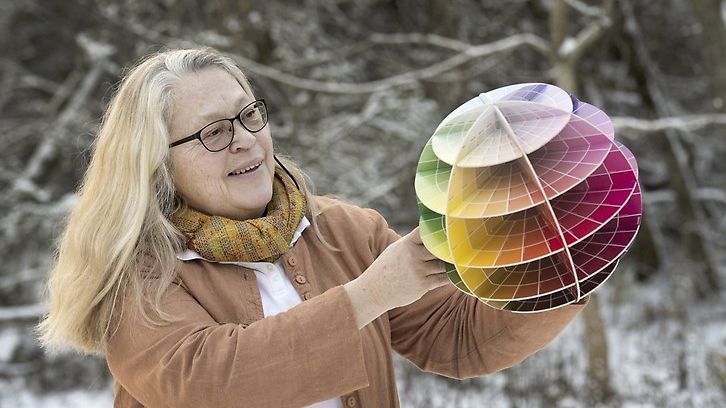 En resa i färgernas värld