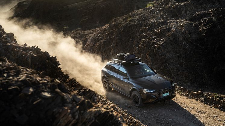 Audi Q8 e-tron edition Dakar