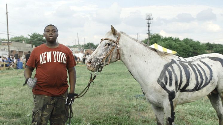 Mohamed Bourouissa, Horse Day, 2014 - 2015