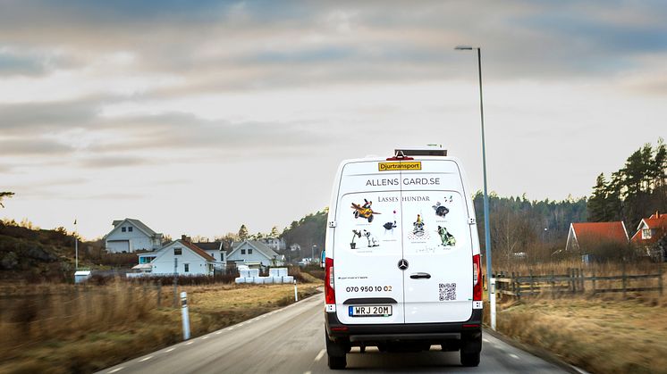 eSprinter Hundtaxi