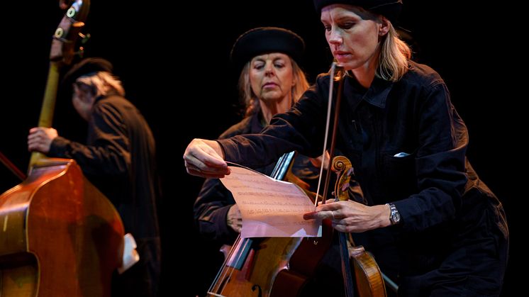 Familjen Stråke