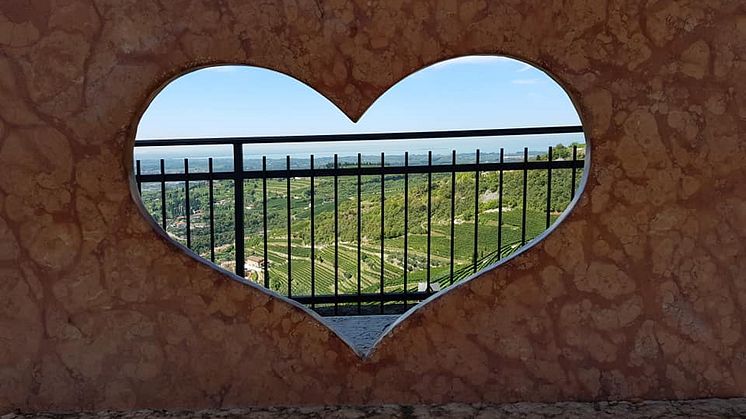 Upptäck Italien - Verona, Valpolicella och Gardasjön