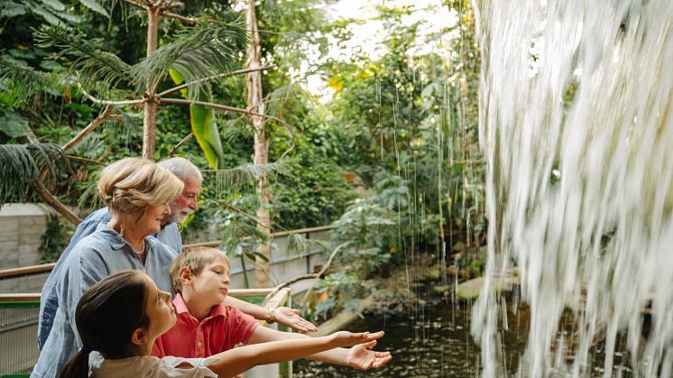 Tropisch. Wohltuend. Familienzeit in der Biosphäre Potsdam