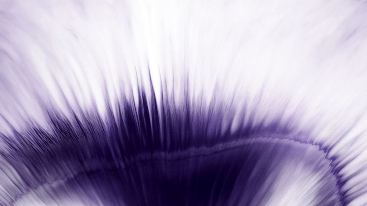 Reklamfilm Serum Vegetal