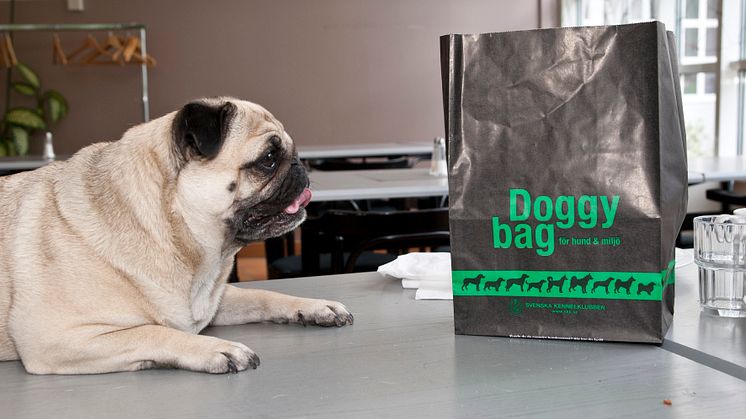 SKK lanserar egen doggy bag
