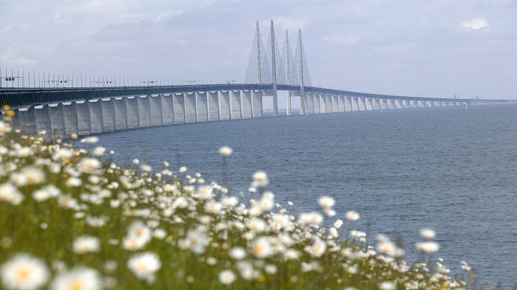 International block train routes Italy Direct and Austria Direct are now operated via Denmark instead of via the train ferry route between Trelleborg and Rostock.