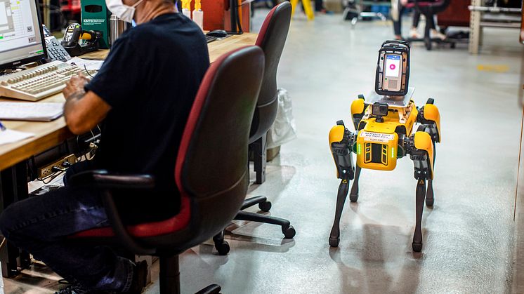 Hund roboter 2020 Fluffy