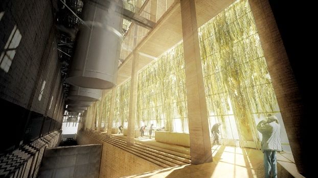 Architecture student scoops national award