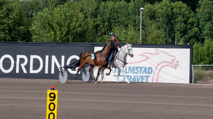 Outrider halmstadtravet2