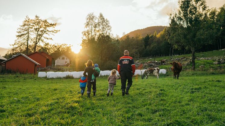 TINE på topp i stor omdømmekåring