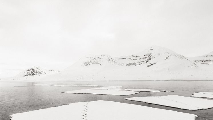 Fading Path, ur serien Arctic  Transcendence, 2024  © Jonas Paurell