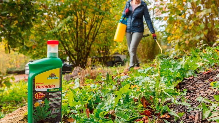 Diga adiós a las malas hierbas – con Finalsan® Herbicida NATURAL de Neudorff 