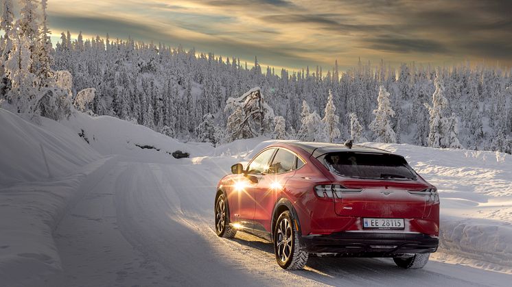 Ford Mustang Mach-E Vinter 2022