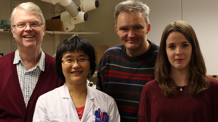 Xiaolei Hu, Olof Lindahl, Karolina Jonzén, Fredrik Öhberg