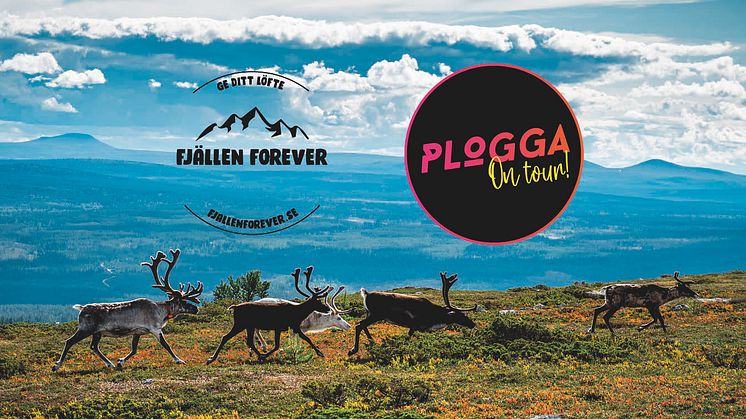 Plogga för Fjällen Forever