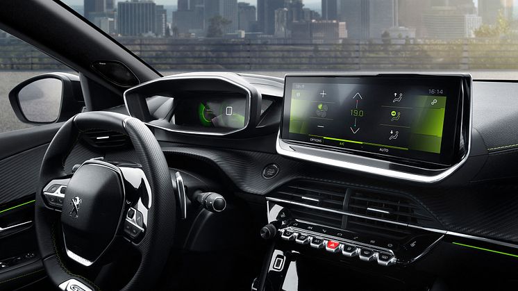 PEUGEOT_2008_1906STYP_208
