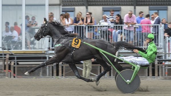 Univers de Pan klar för Elitloppet