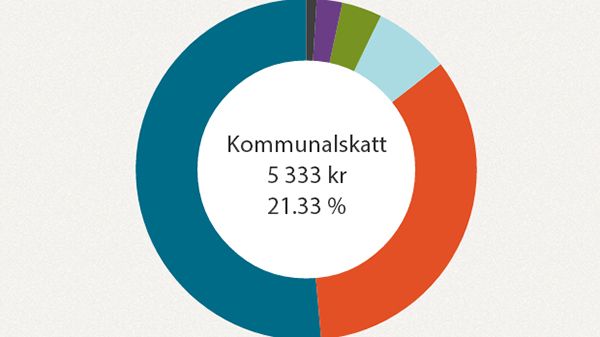 Skattekollen ger koll på skatten