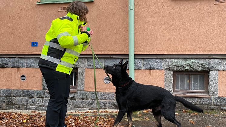 Toppbild.jpeg