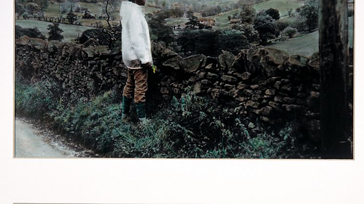 Pastoral Interlude_1