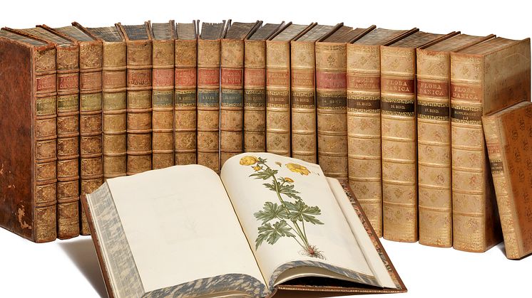 G.C. Oeder: Flora Danica. Copenhagen 1761–1883. Complete with 3240 original hand-coloured plates. Estimate: DKK 300,000-400,000 / € 40,000-54,000.