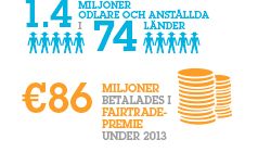 Fairtrade omfattar 1,4 miljoner odlare och anstälda
