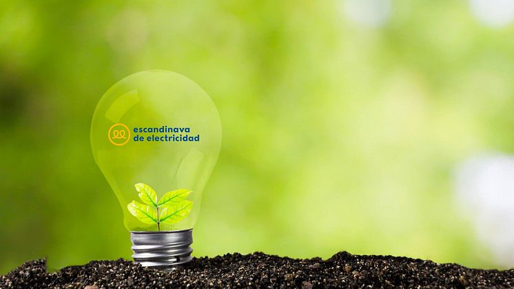Norwegian y Escandinava de Electricidad se alían para ofrecer más ventajas a sus clientes