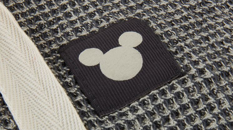 Environmental_Disney1.jpg