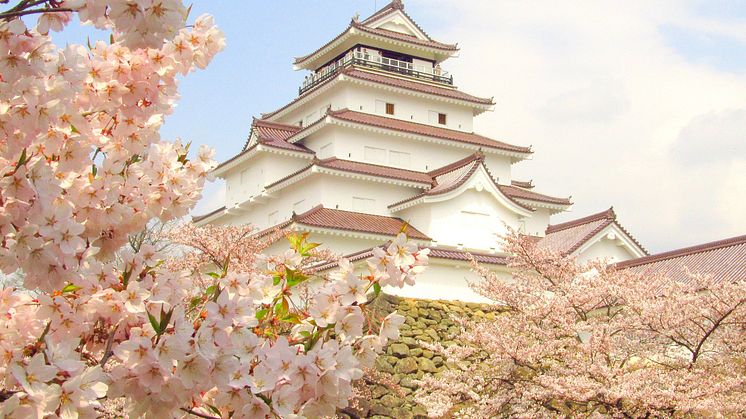 Tsurugajo Castle