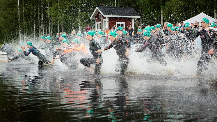 Simmare springe i vattnet 2019