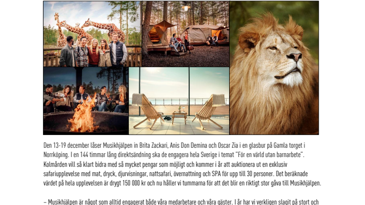 Kolmården auktionerar ut exklusiv safariupplevelse till förmån för Musikhjälpen.pdf