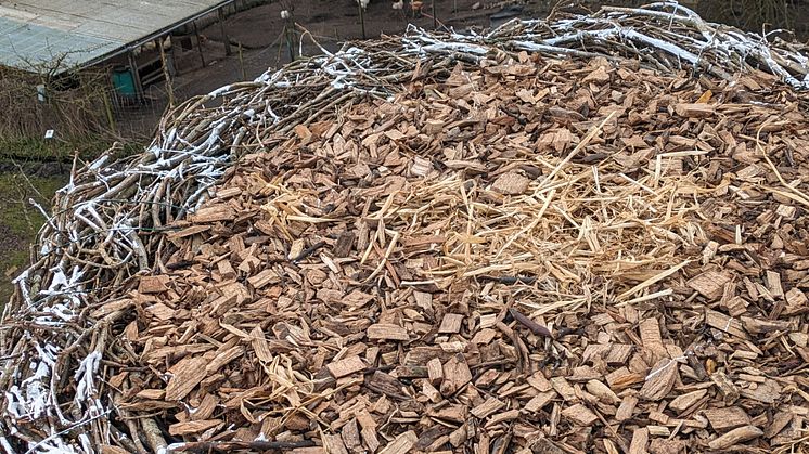 Storchennest_aus_Storchenperspektive