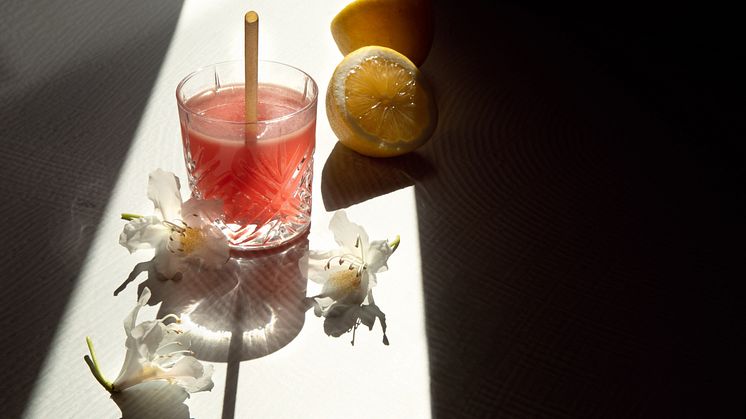 United Arab Emirates luxury hotels and high-end outlets incorporate premium sustainable straws amidst a global move towards not using conventional plastic