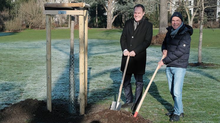 alltours finanziert zehn Bäume für den Hofgarten. Oberbürgermeister Dr. Stephan Keller (links) und alltours Inhaber Wili Verhuven haben im Düsseldorfer Hofgarten einen Tulpenbaum gepflanzt.