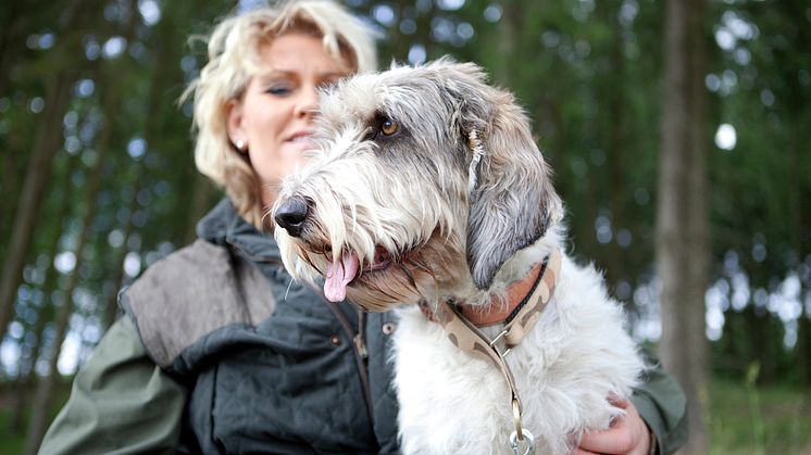 Jakthund med Pia Hansen