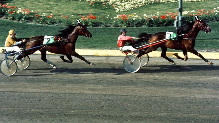 Ego Boy 1973 Elitloppet