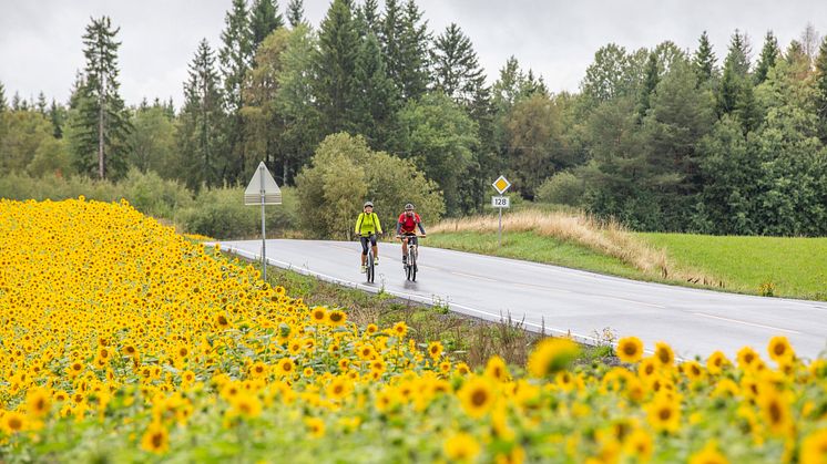 Unionsleden mellom Moss og Karlstad. Foto: Unionsleden