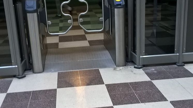 Battersea Park Gateline