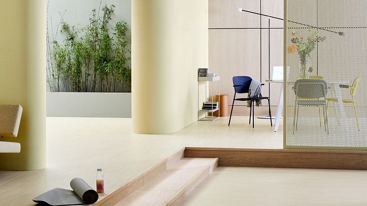 STEENKAMER FORBO LINEAR SET 4