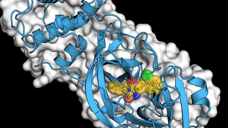 Molekyl /Molecule
