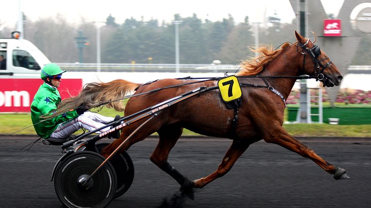 Ingen Aladin d’Ecajeul i Elitloppet
