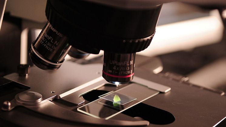 beMINT-Projekttag am 23. August 2018: Berufs- und Studienorientierung in den Mikrotechnologien