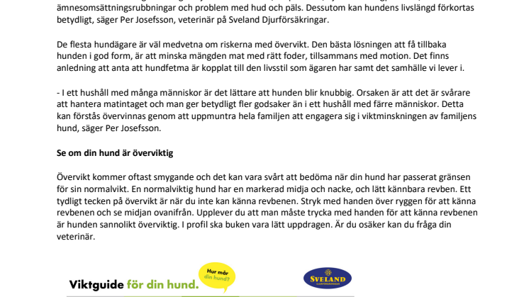 Hundfetma stort hälsoproblem – varannan hund överviktig