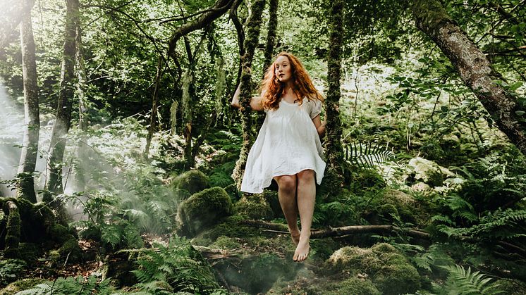 Skogens år på Norrviken. Ett år du tuktat och vilt möts i elegans. Foto: Lena Evertsson