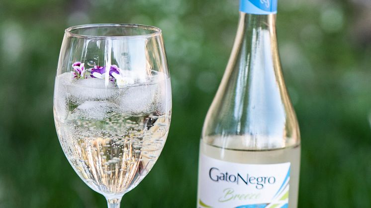 Gato Negro Breeze -wine spritzerit marketteihin