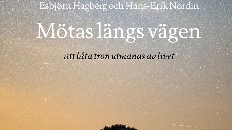 Mötas längs vägen 