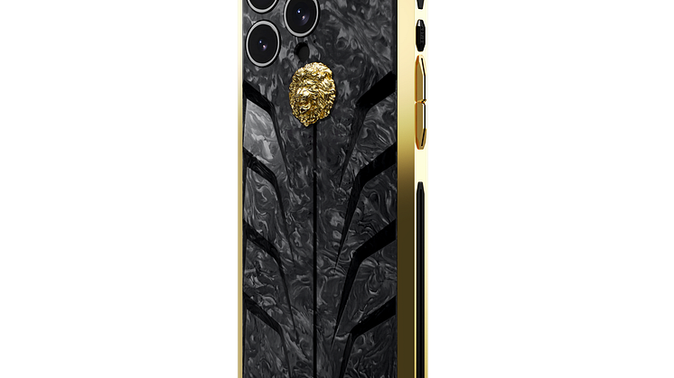 RS15.Lion-G-CFB-02-Back-2.png